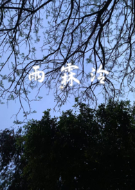 雨霖泠（sc，强制爱，前世今生）