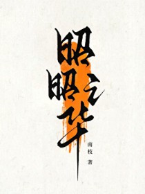 昭昭之华